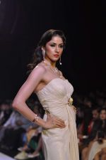 Model walk the ramp for Kashi Jewels on Day 4 of IIJW 2013 on 7th Aug 2013 (26).JPG